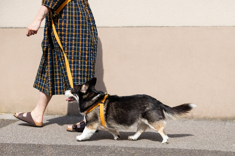 Cotton Harness