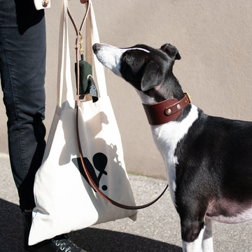 Natural Cotton Tote Bag